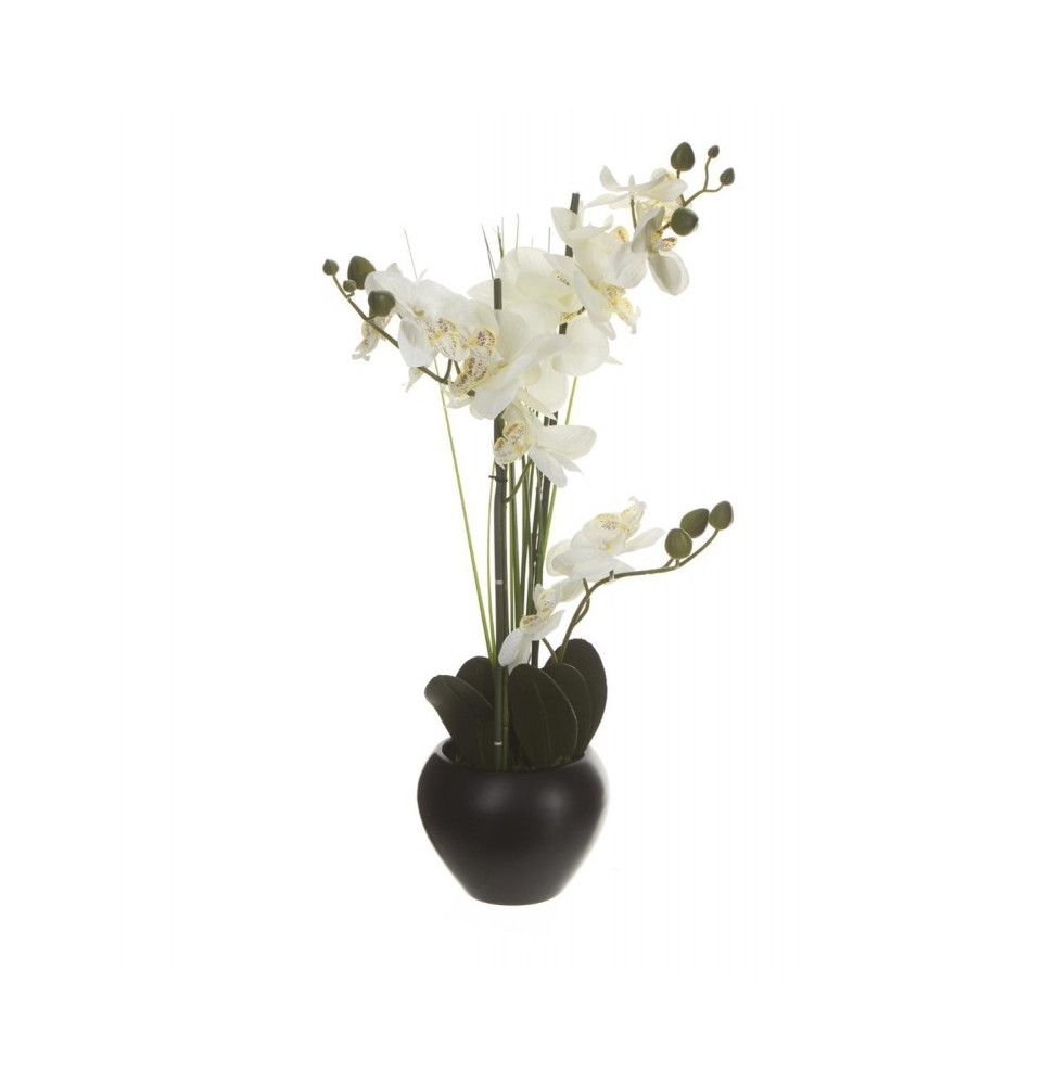 Orchidée et vase en céramique - 50 x 28 x 53 cm - Noir