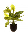 Plante artificiel en pot - H 45 cm