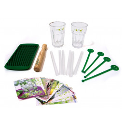 Coffret complet à mojito avec verres, recettes, pilon...