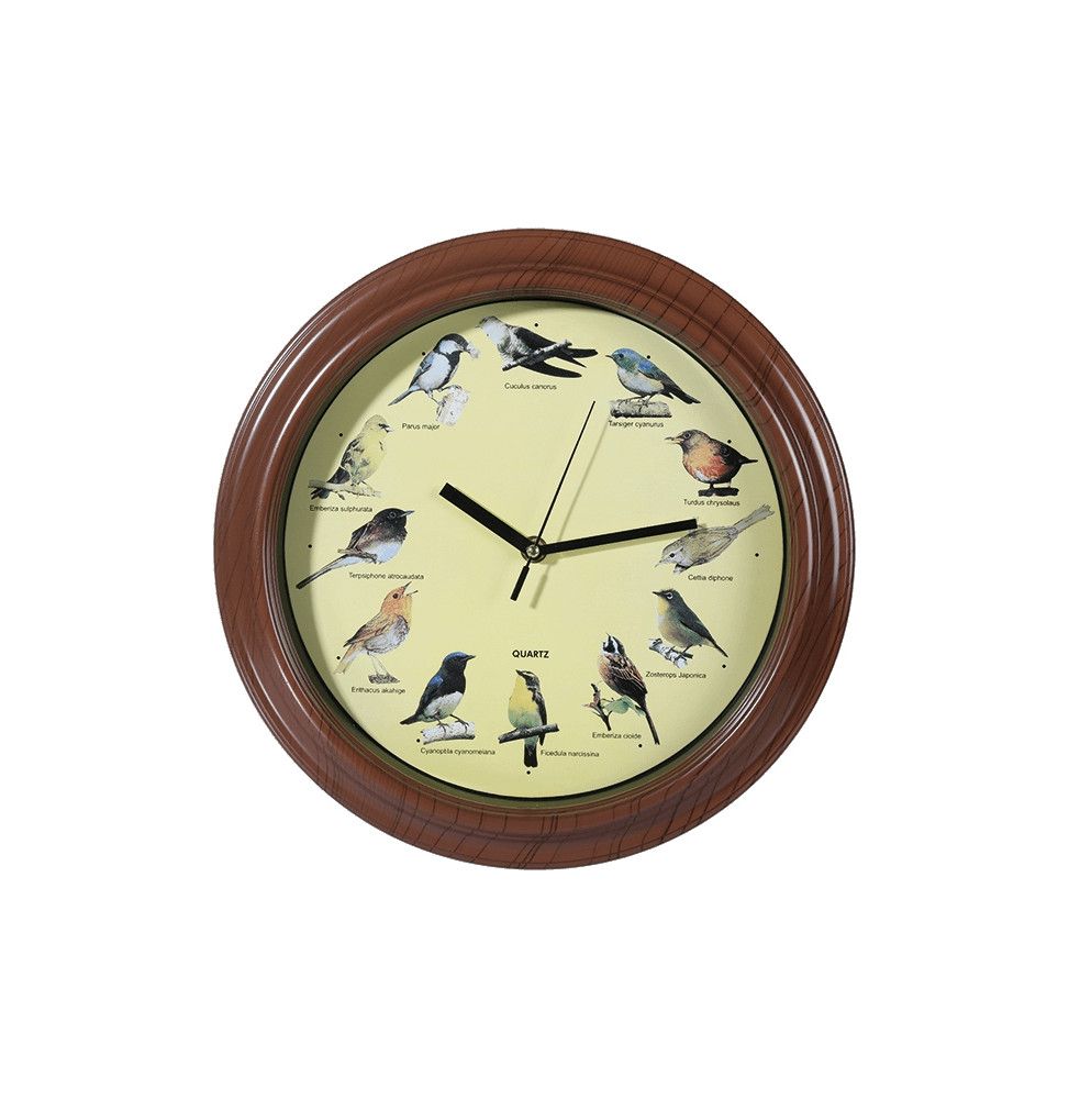 Horloge aux voix d'oiseaux - 33 cm - Plastique