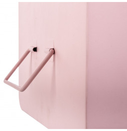 Set de 2 malles - Cantine - Métal - Rose