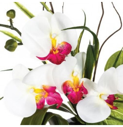 Composition orchidée vase - 36 x 16 x 44 cm - Porcelaine - Modèle aléatoire