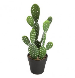 Cactus artificiel - Nomade - H 42 cm  - Modèle aléatoire