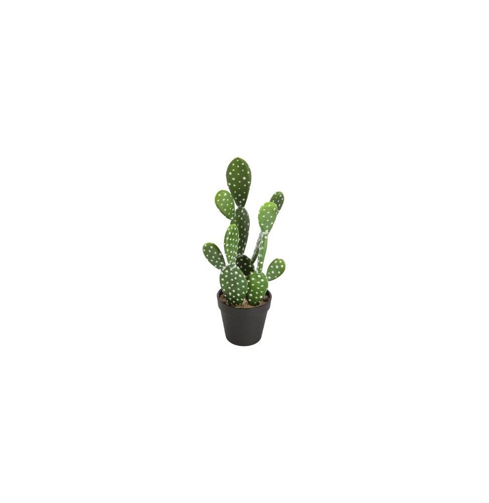 Cactus artificiel - Nomade - H 42 cm  - Modèle aléatoire