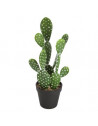 Cactus artificiel - Nomade - H 42 cm  - Modèle aléatoire