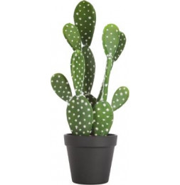 Cactus artificiel - Nomade - H 42 cm  - Modèle aléatoire