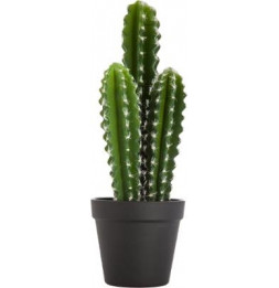 Cactus artificiel - Nomade - H 42 cm  - Modèle aléatoire