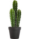Cactus artificiel - Nomade - H 42 cm  - Modèle aléatoire