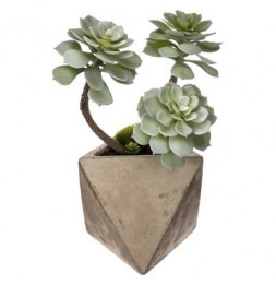 Plante artificielle - Pot en ciment - H 30 cm