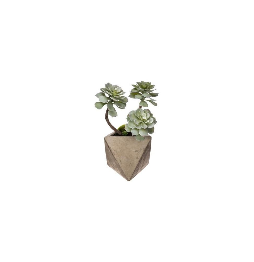 Plante artificielle - Pot en ciment - H 30 cm