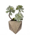 Plante artificielle - Pot en ciment - H 30 cm