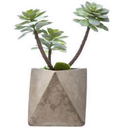 Plante artificielle - Pot en ciment - H 30 cm