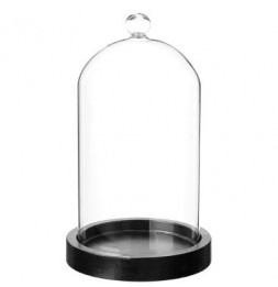 Cloche sous vide - Socle en...