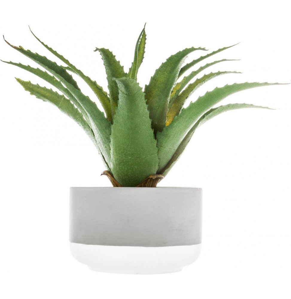Aloe Vera artificiel - D 12 x H 23 cm
