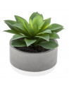 Plante grasse artificielle - D 12 x H 13 cm