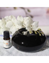 Diffuseur par chaleur douce - Noir - Diffuseurs huiles essentielles