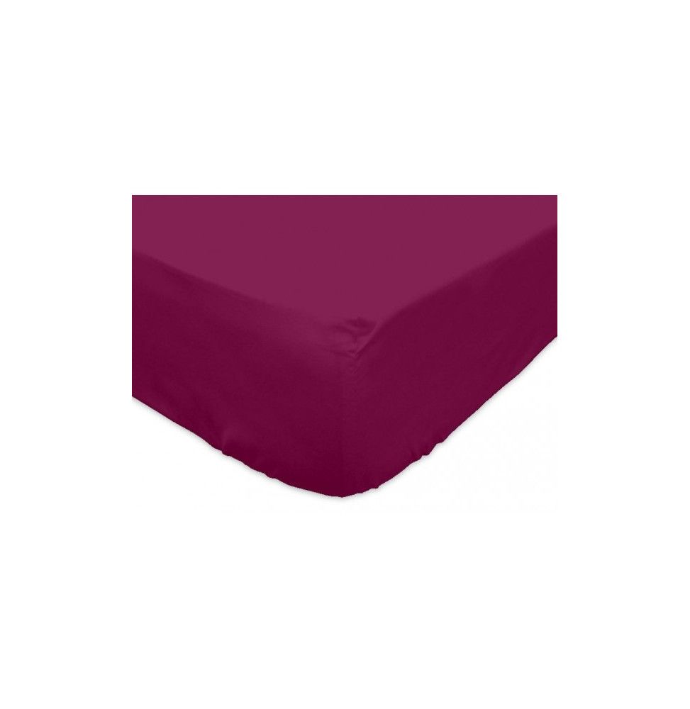 Drap housse Jersey en coton - L 190 x l 140 cm - Violet