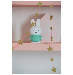 Tirelire Miffy - Lapin - 13 cm - Vert