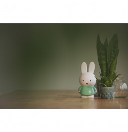 Tirelire Miffy - Lapin - 13 cm - Vert