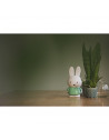 Tirelire Miffy - Lapin - 13 cm - Vert