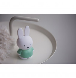 Tirelire Miffy - Lapin - 13 cm - Vert