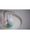 Tirelire Miffy - Lapin - 13 cm - Vert