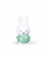 Tirelire Miffy - Lapin - 26 cm - Vert