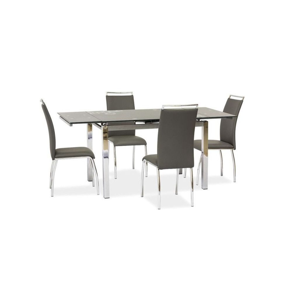 Table extensible 8 personnes - GD017 - 110-170 x 74 x 75 cm - Gris