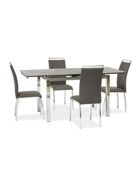 Table extensible 8 personnes - GD017 - 110-170 x 74 x 75 cm - Gris