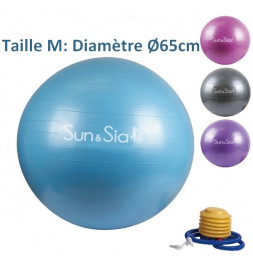 Swiss Ball - D 65 cm - Bleu