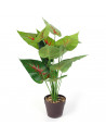 Plante artificielle en pot - D 13 x H 55 cm - Vert et rouge