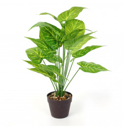 Plante artificielle en pot - D 13 x H 55 cm - Vert