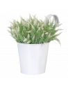 Pot jardinière en zinc - L 26,8 x l 16,3 x H 21,7 cm - Blanc