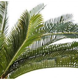 Plante artificielle - H 72 cm - Ananas vert