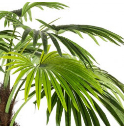 Palmier artificiel - H 180 cm