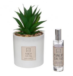 Coffret senteur Cactus - H...