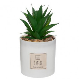 Coffret senteur Cactus - H 19.2 cm - Verre