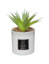 Coffret senteur Cactus - H 19.2 cm - Verre