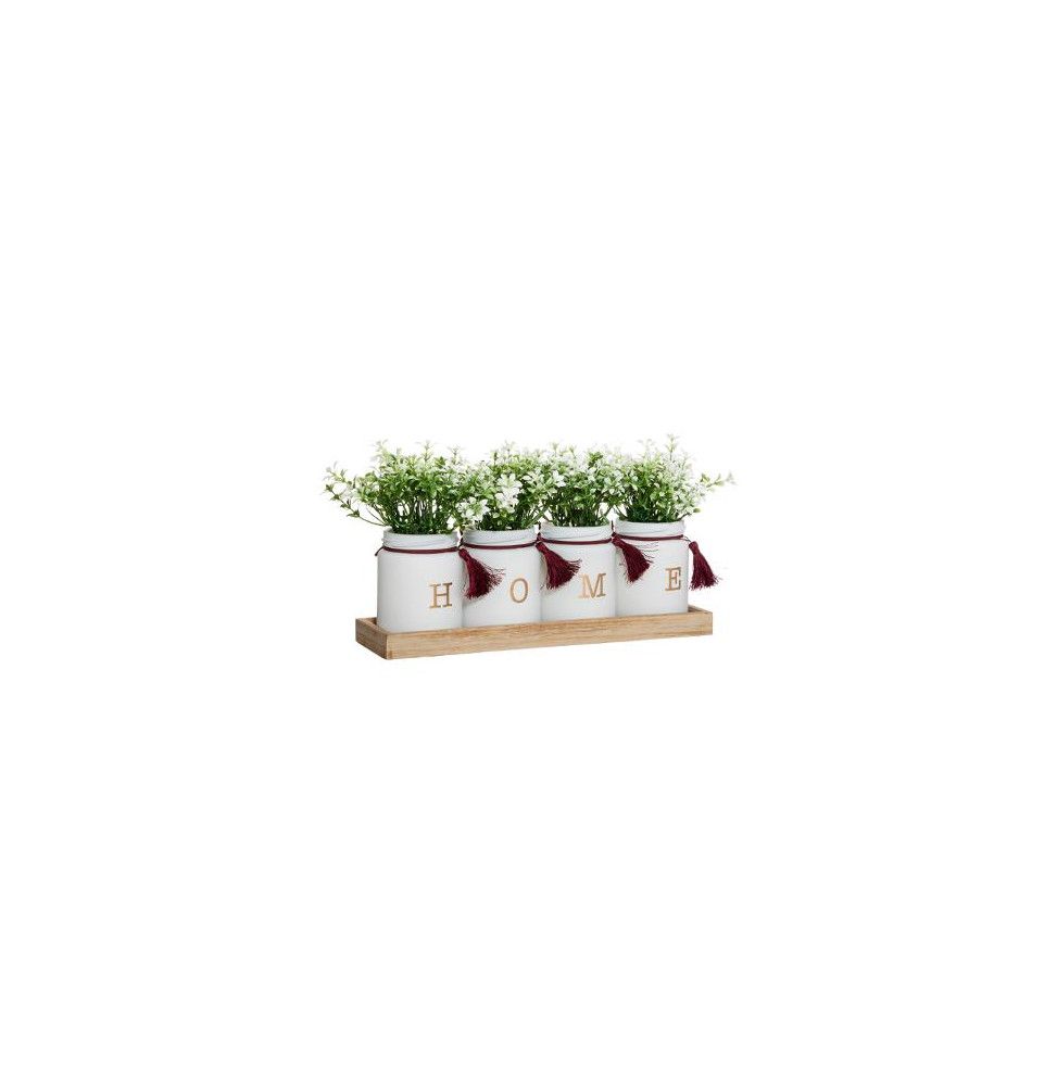 Set de 4 plantes décoratives -  L 28,5 cm x l 8.5 cm  - Verre