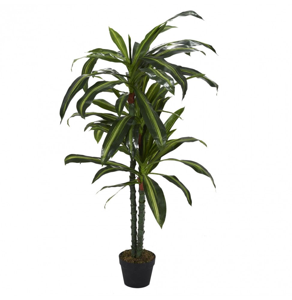 Plante artificielle - Dracaena - H 130 cm
