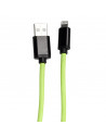 Câble de charge rapide - IPhone - Phosphorescent - L 2 M - Vert