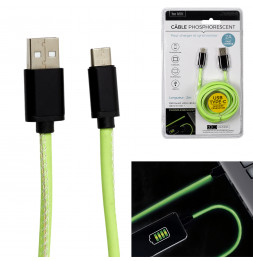 Câble de charge rapide - Type C - Phosphorescent - L 2 M - Vert