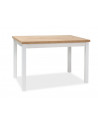 Table Adam - L 100 x l 60 x H 75 cm - Chêne Lancelot