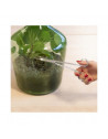 Ciseaux pour terrarium - L 1,6 x l 5,6 x H 25 cm Acier inoxydable