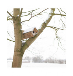 Nichoir pour Chouette chevêche - L 31 x l 80,5 x H 52 cm - Bois de pin