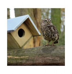 Nichoir pour Chouette chevêche - L 31 x l 80,5 x H 52 cm - Bois de pin