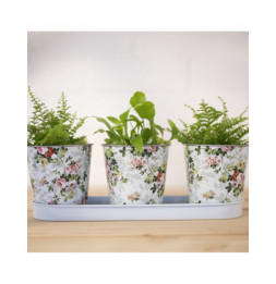 Jardinière avec 3 pots - L 10,6 x l 32 x H 10,9 cm - Roses