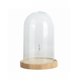 Cloche en verre sur socle...