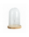 Cloche en verre sur socle en bois - D 20,5 cm x H 31 cm