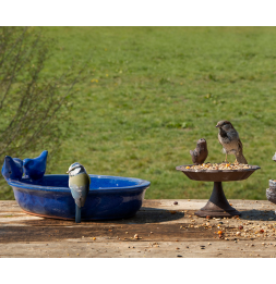 Bain d'oiseau ovale en céramique - L 22,9 cm x l 30,7 cm x H 10,4 cm - Bleu